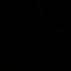 Meet your Posher, Harley